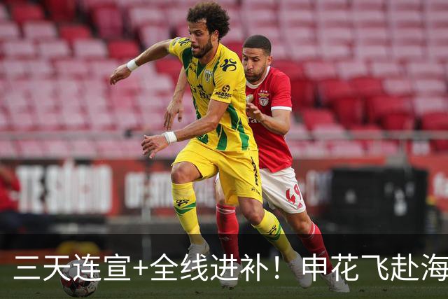 三天连宣+全线进补！申花飞赴海口启动新赛季